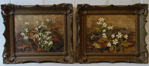 Pair of oil paintings on board: Winter flowers (artist: Pam Hewitt)