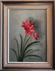 Oil painting on canvas: Study of an red hippeastrum  (artist unknown)