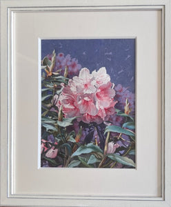 Watercolour painting on paper: Pink Pearl rhodedendron (L Gilbert)